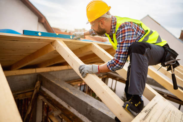 Roof Gutter Cleaning in Richland Hills, TX